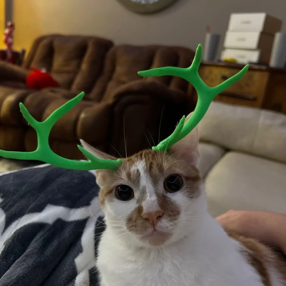 Green Antler Cat Headband